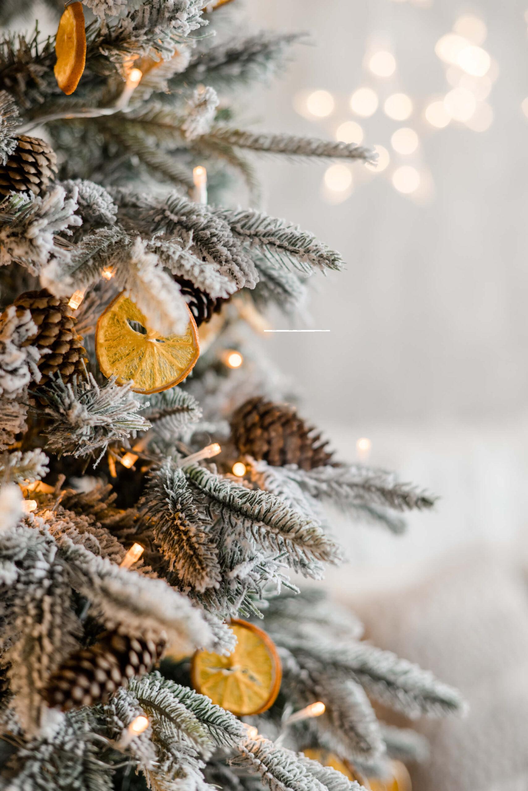 Tannenbaum für SEO Adventskalender